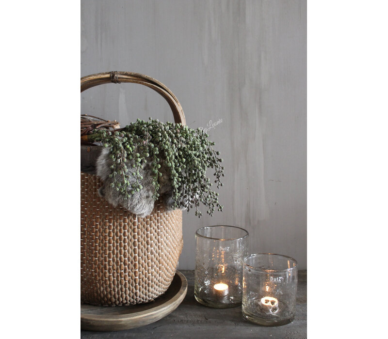 Namaak gedroogde Dadeltak green