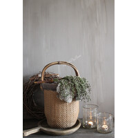 Namaak gedroogde Dadeltak green