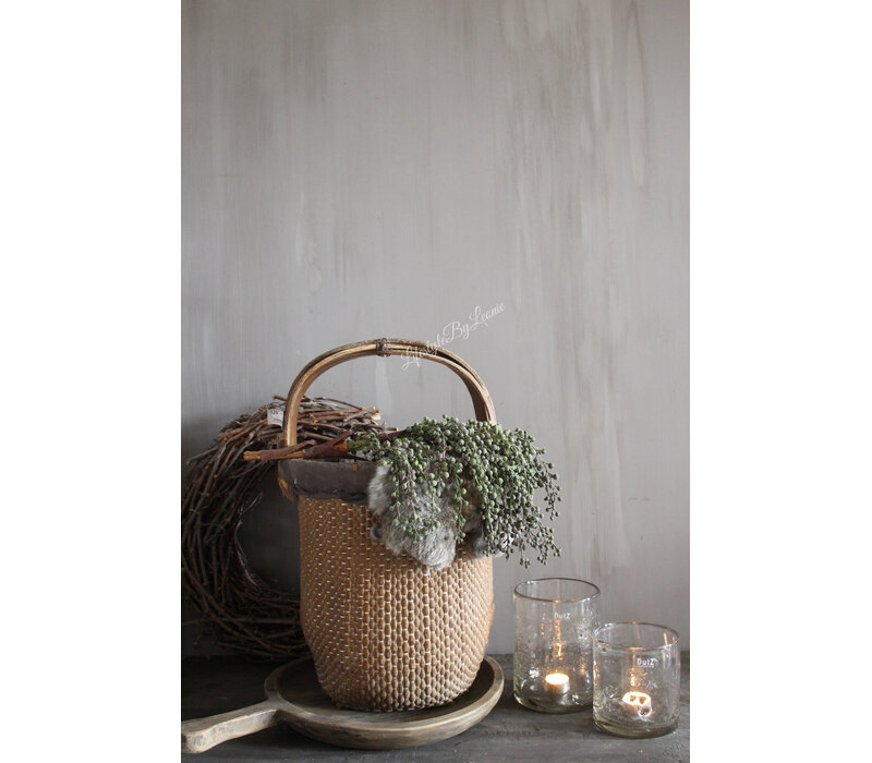 Namaak gedroogde Dadeltak green