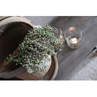 Namaak gedroogde Dadeltak green