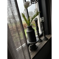 Grote namaak parrot tulp White 83 cm