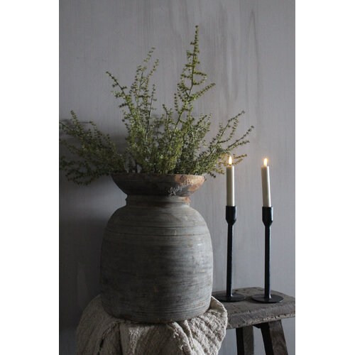 Namaak wilde Asparagus green 73 cm 