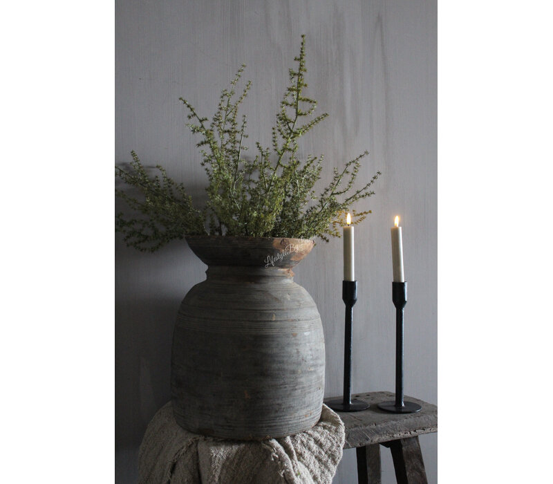 Namaak wilde Asparagus green 73 cm