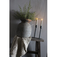 Namaak wilde Asparagus green 73 cm