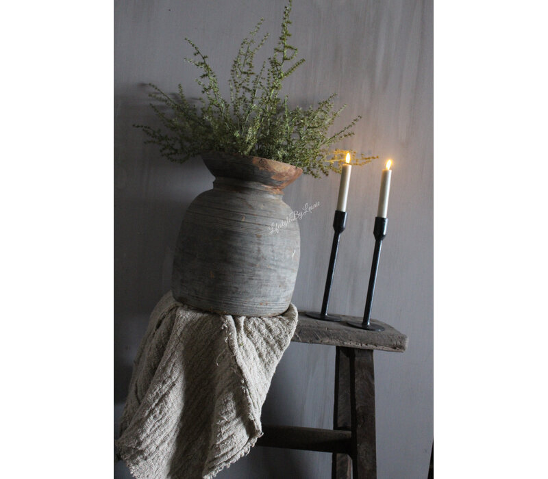 Namaak wilde Asparagus green 73 cm