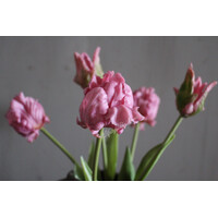 Bos real touch Parrot Tulpen pink 41 cm