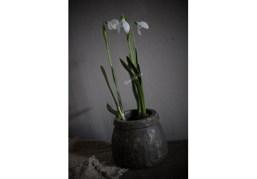 Namaak sneeuwklokje White 30cm