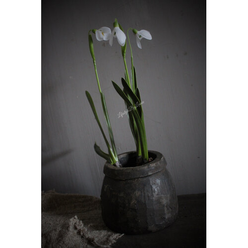 Namaak Sneeuwklokje white 30 cm 