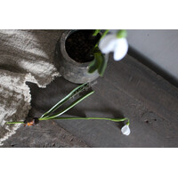 Namaak Sneeuwklokje white 30 cm
