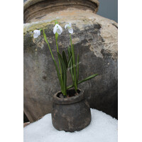 Namaak Sneeuwklokje white 30 cm