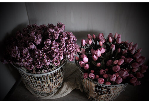 Namaak boeket parkiet tulpen Mauve 40cm
