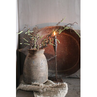 Namaak paastak Corylus 70 cm