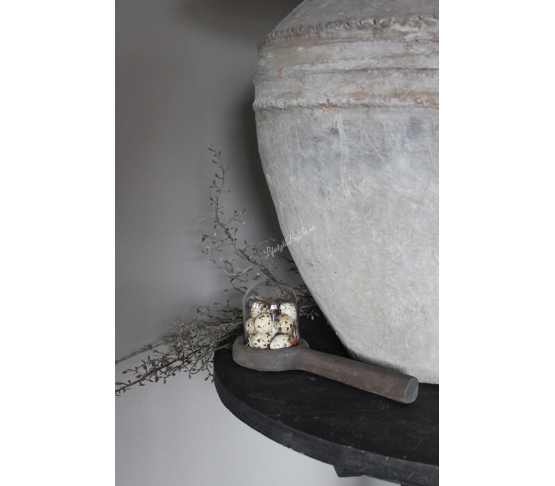 Glazen stolp met houten voet 10 cm