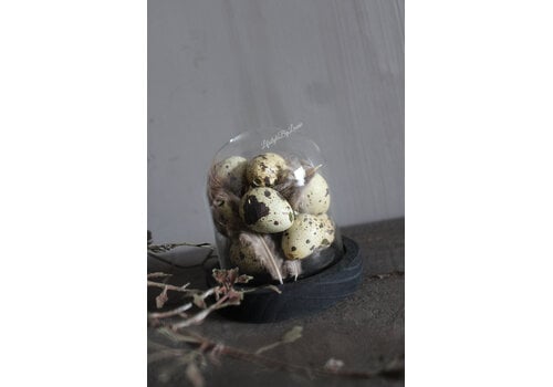 Glazen stolp met houten voet 10 cm