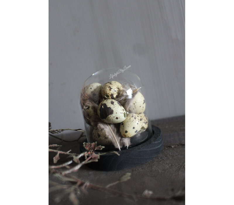 Glazen stolp met houten voet 10 cm