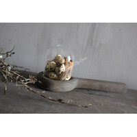 Glazen stolp met houten voet 10cm