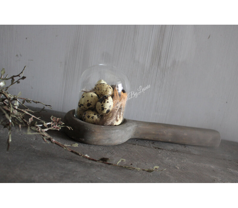 Glazen stolp met houten voet 10 cm