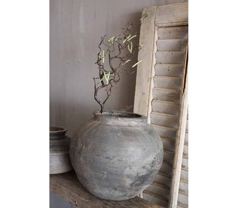 Namaak paastak Corylus 70 cm