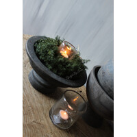 Groene wilde asparagus krans 20cm