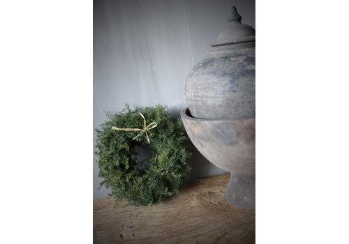 Groene wilde Asparagus krans 20 cm