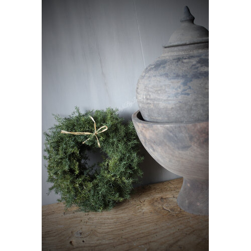 Groene wilde Asparagus krans 20 cm 