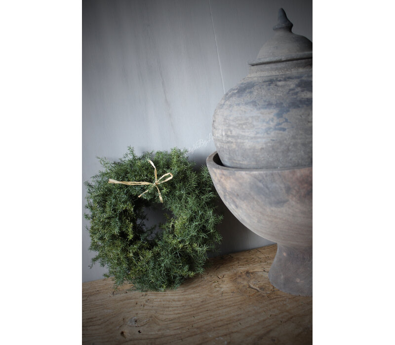 Groene wilde asparagus krans 20cm