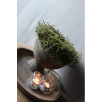 Groene Asparagus krans 30 cm