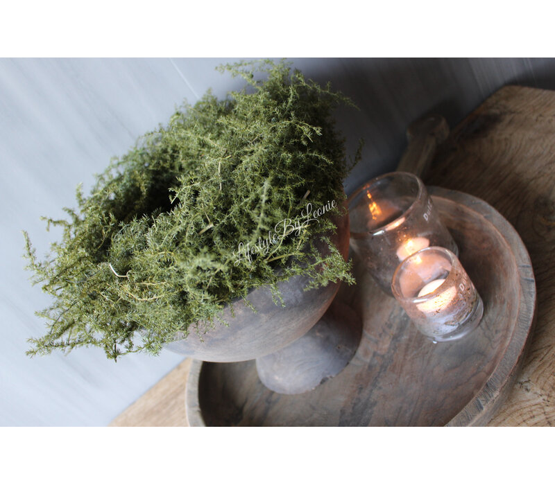 Groene Asparagus krans 30 cm