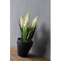 Namaak Druifjes in pot white 18 cm