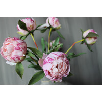 Bos real touch Pioenen in knop pink 63 cm