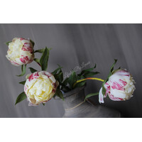 Bos real touch tulpen in knop Cream 63cm