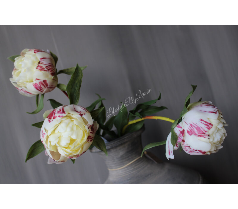 Bos real touch tulpen in knop Cream 63cm