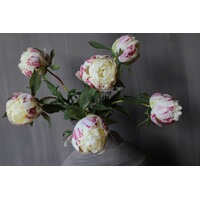 Bos real touch Pioenen in knop cream 63 cm