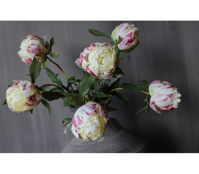 Bos real touch Pioenen in knop cream 63 cm