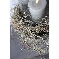 Brynxz Tillandsia hangend brown 120 cm