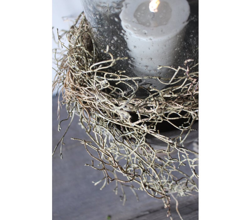 Brynxz tillandsia hangend Brown 120cm