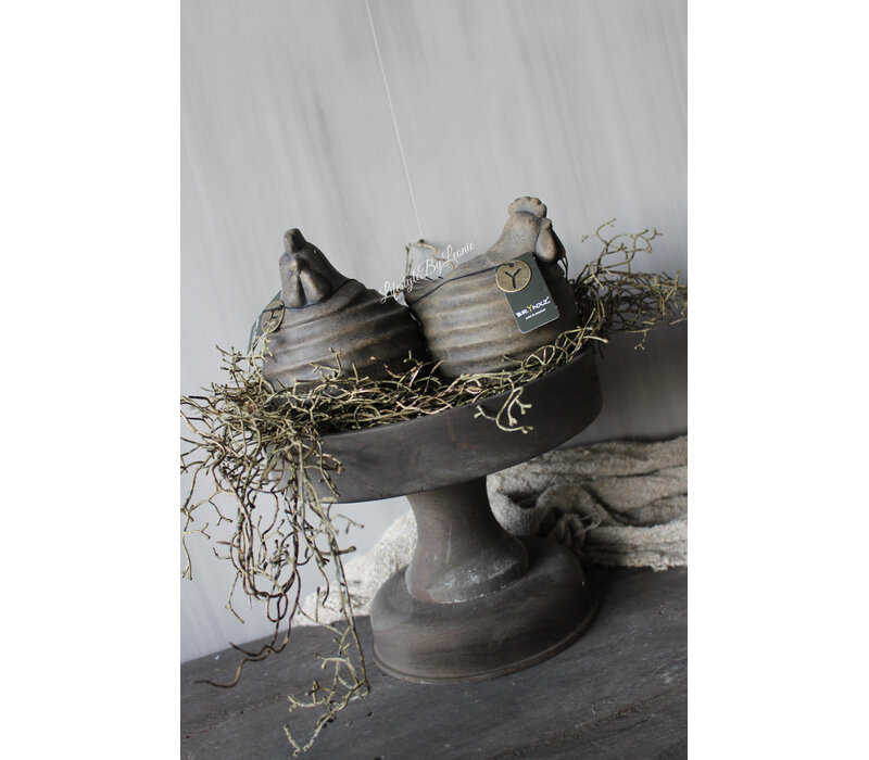 Brynxz Tillandsia hangend brown 120 cm