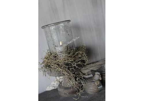 Brynxz Brynxz tillandsia hangend Brown 120cm