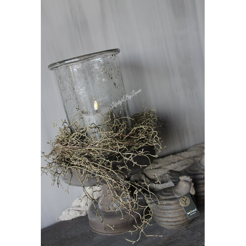 Brynxz tillandsia hangend Brown 120cm 