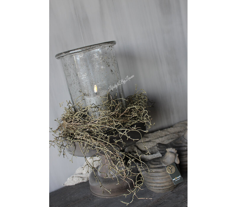 Brynxz Tillandsia hangend brown 120 cm