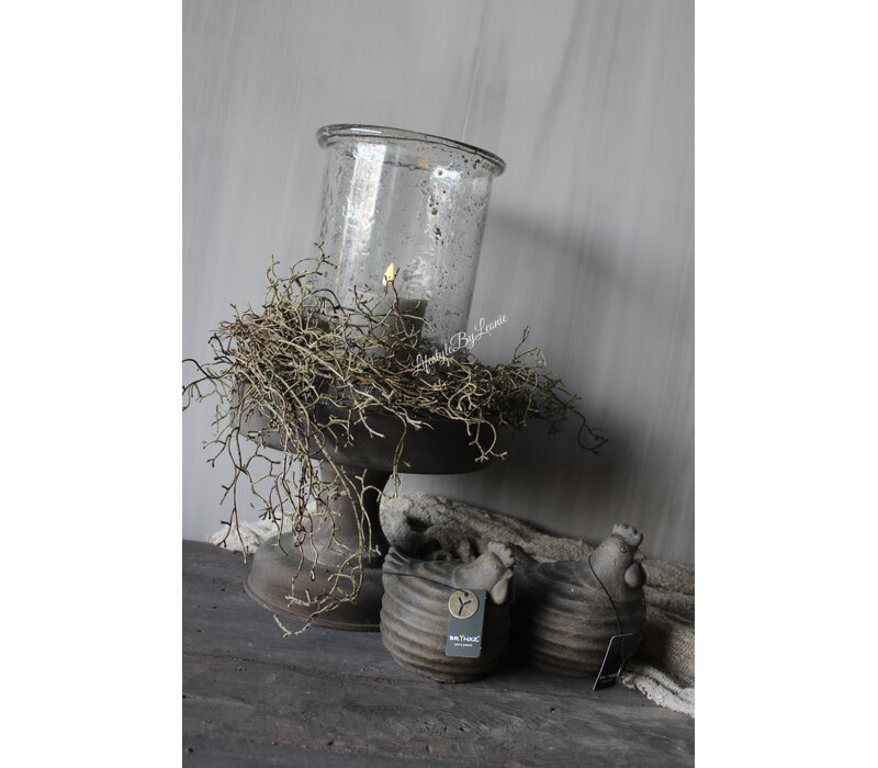 Brynxz Tillandsia hangend brown 120 cm