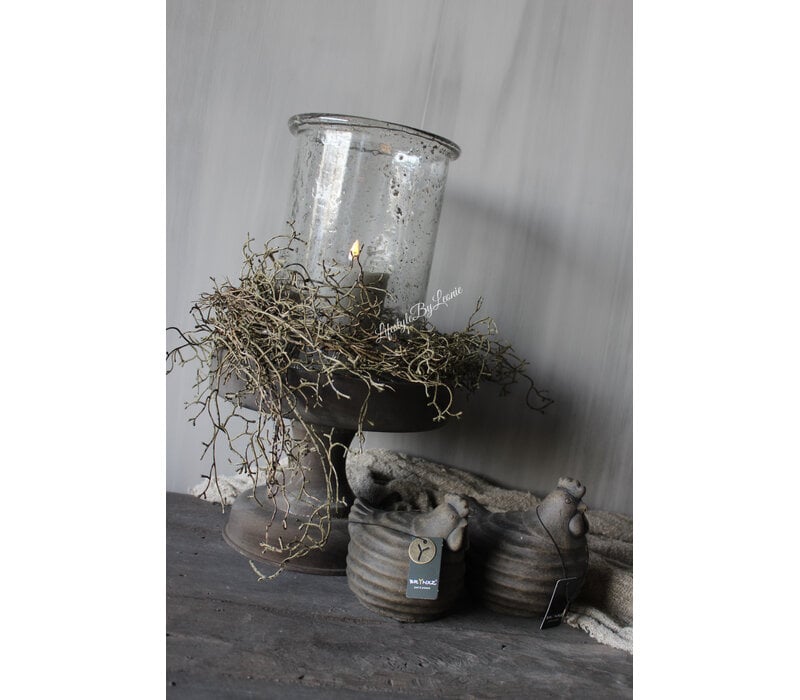 Brynxz tillandsia hangend Brown 120cm