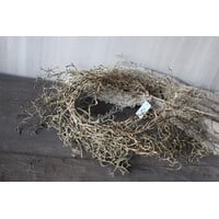 Brynxz tillandsia hangend Brown 120cm