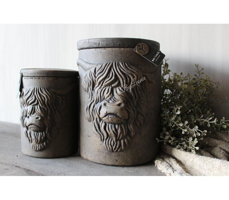Brynxz pot and top Hooglander brown 19 cm