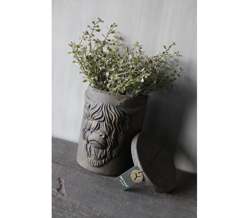 Brynxz pot and top Hooglander brown 19 cm