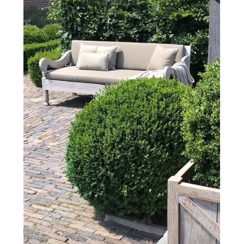 Aura Peeperkorn outdoor loungebank 140cm 