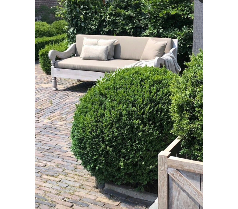 Aura Peeperkorn outdoor loungebank 140cm