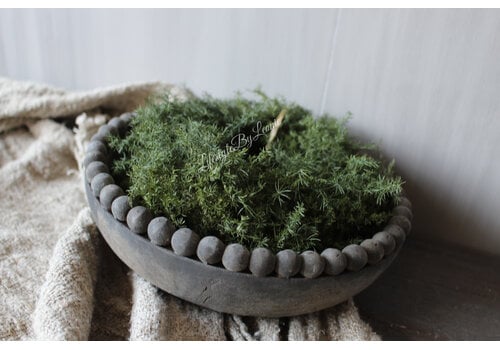 Groene wilde Asparagus krans 20 cm