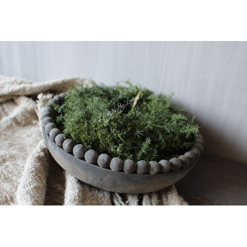 Groene wilde Asparagus krans 20 cm 