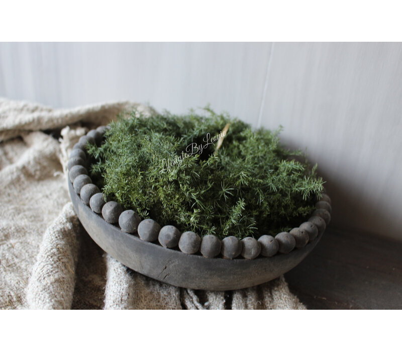 Groene wilde Asparagus krans 20 cm